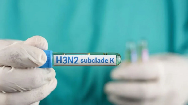 Mengenal Influenza A dan Ancaman Virus H5N1