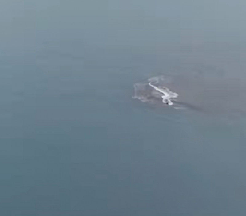 Daratan Baru Seluas 30,3 Hektare Muncul di Sekitar Gunung Anak Krakatau - Disebut Calon 'Cucu Krakatau'